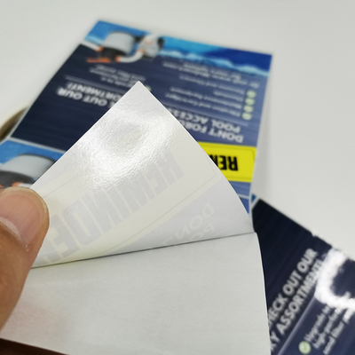 Etiquetas engomadas CMYK de Matte Waterproof Custom Die Cut que imprimen el vinilo adhesivo desprendible